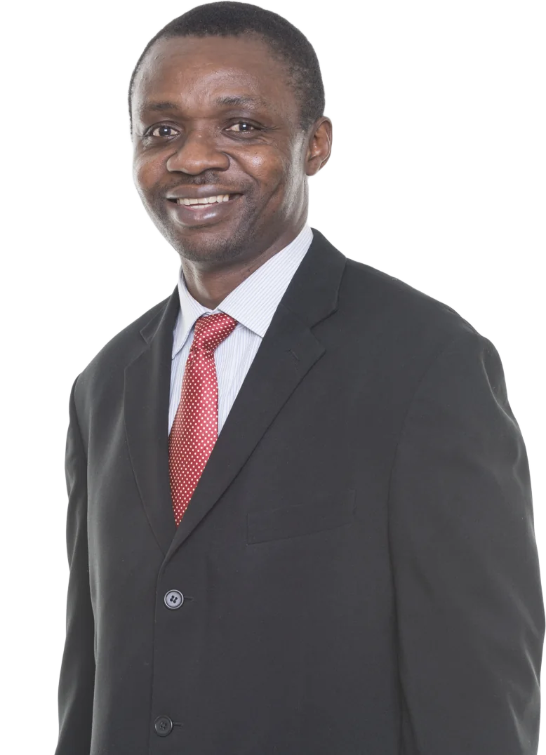 Vincent Chido King, Lean Six Sigma Master Black Belt